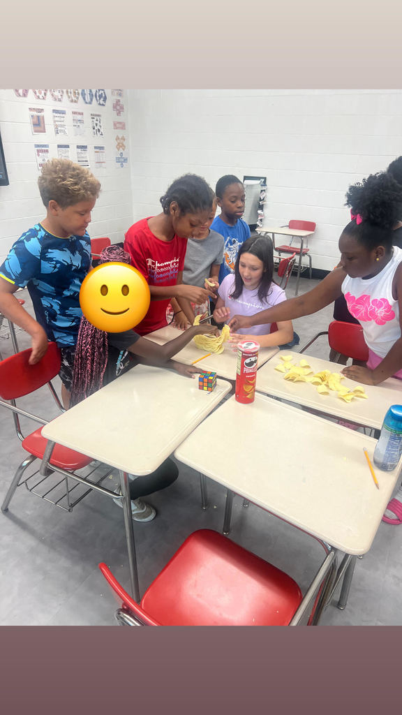 summer school (4)