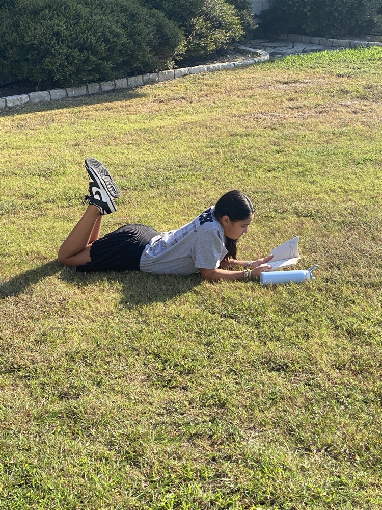 book book 