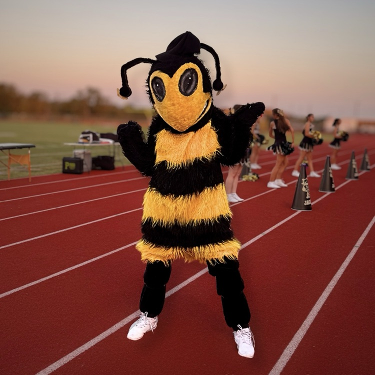 Awesome! Meridian ISD Yellow Jacket Mascot