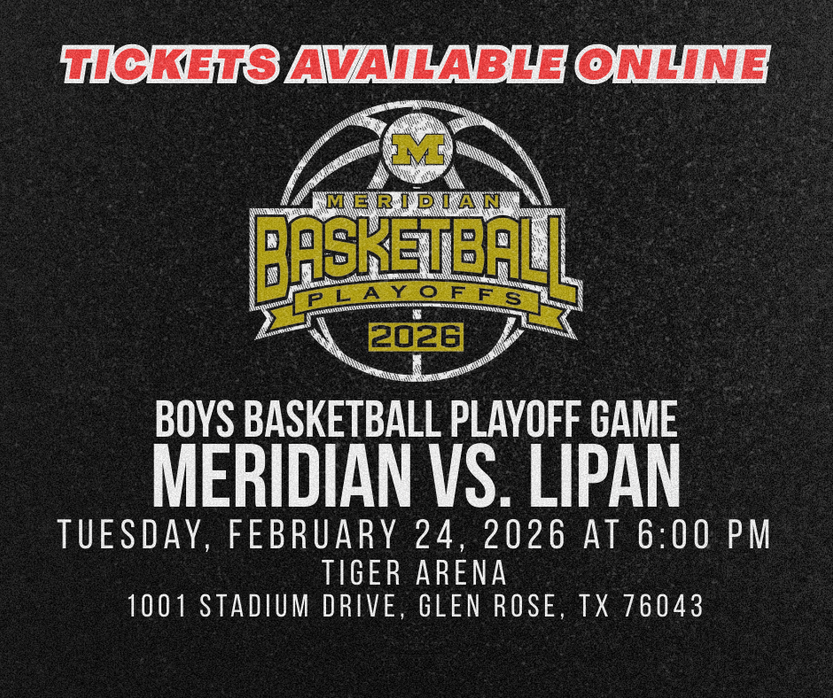 Basketball Playoff 2026