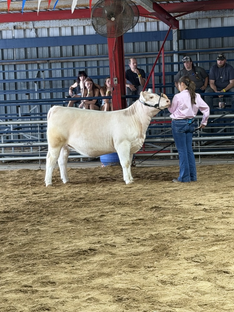 Maryn Champ26(2)