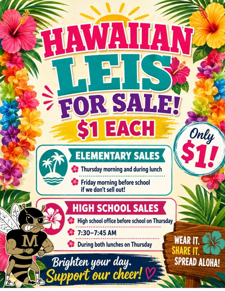 Hawaiian Theme26