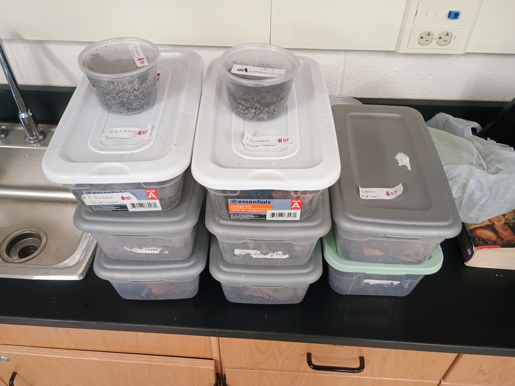 Snug in their new homes!