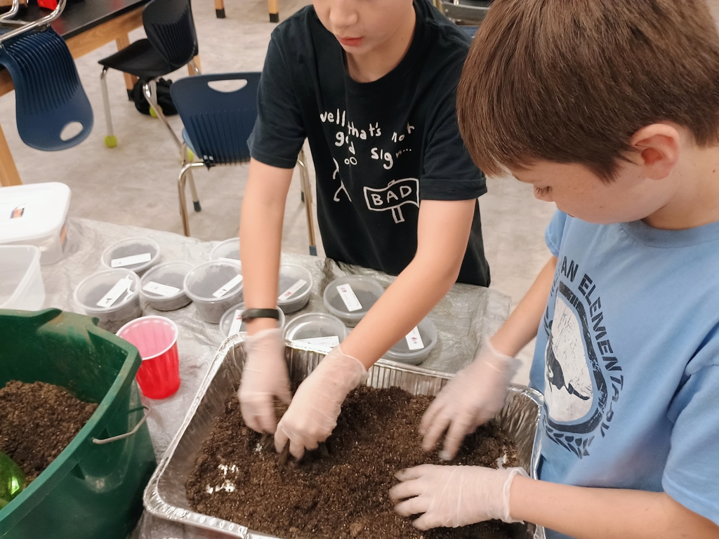 Making the dirt just right for the new bugs!