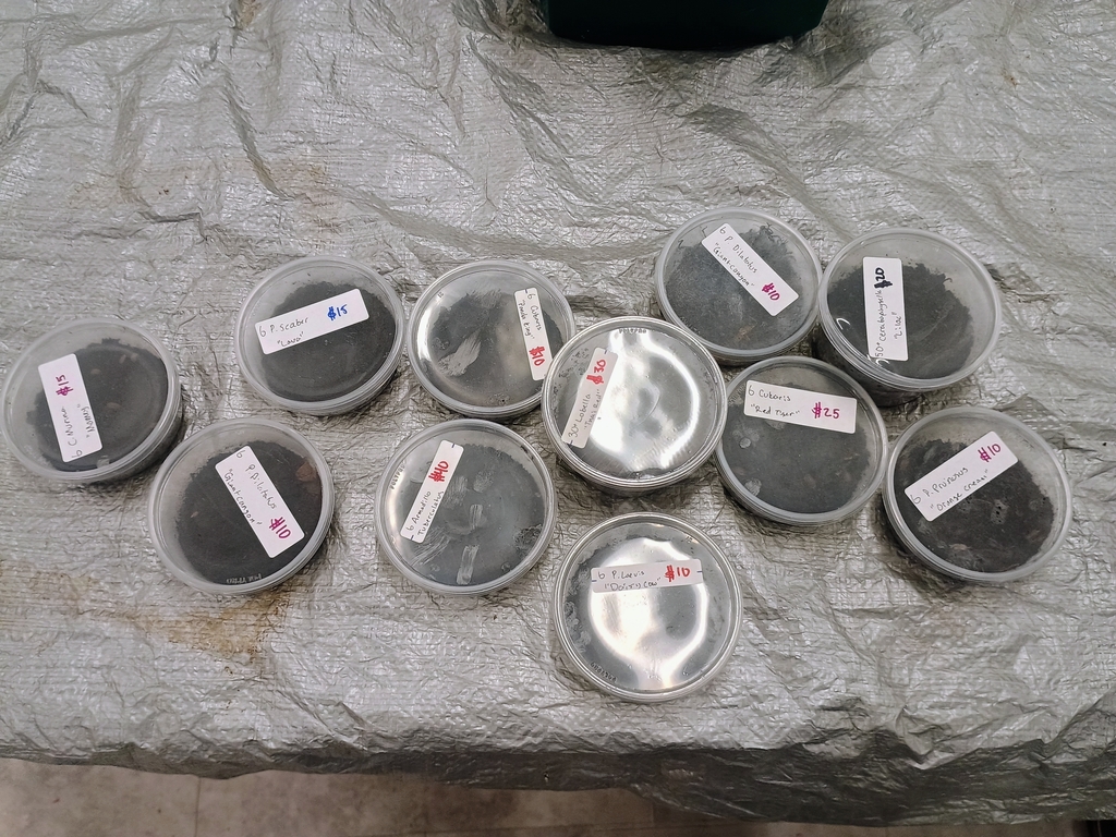 All waiting for their new homes to be set up!