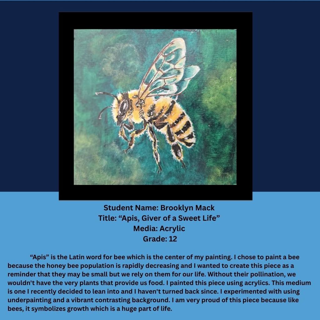 A detailed acrylic painting of a honeybee shown in close-up against a textured green background. The bee’s wings are translucent and veined, and its fuzzy yellow-and-black body is highly detailed. Below the image, text identifies the student artist as Brooklyn Mack, Grade 12, and includes an artist statement about the importance of bees and pollination.