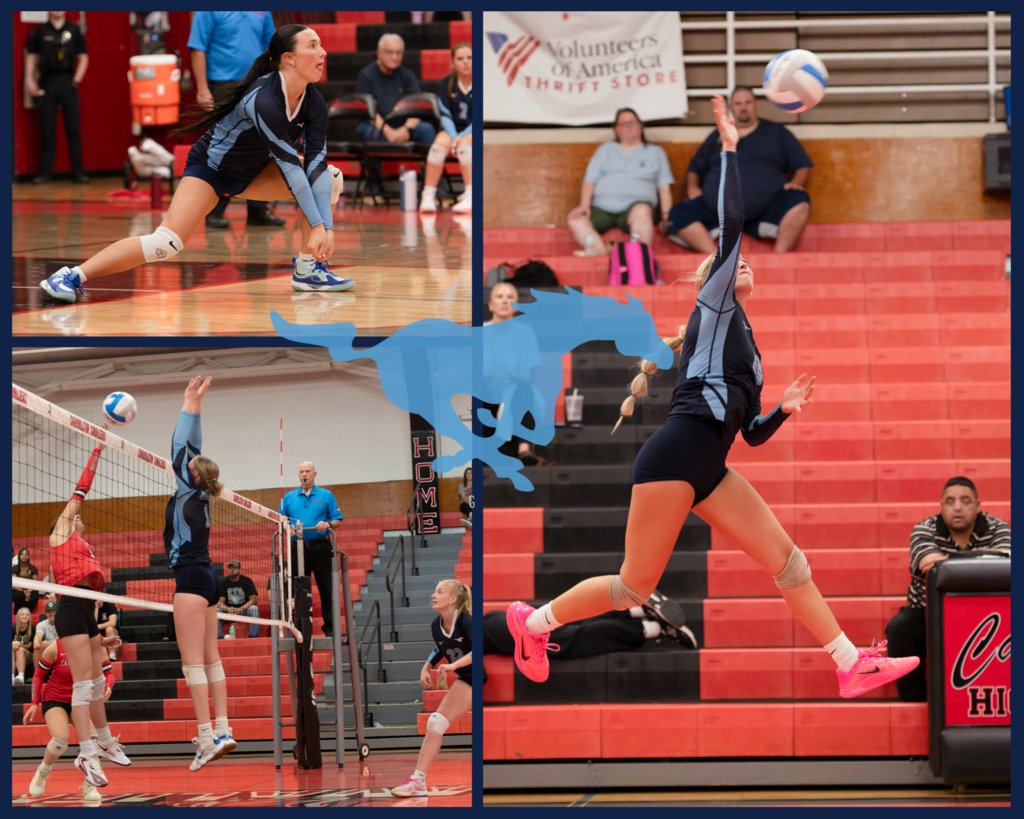 Volleyball Post