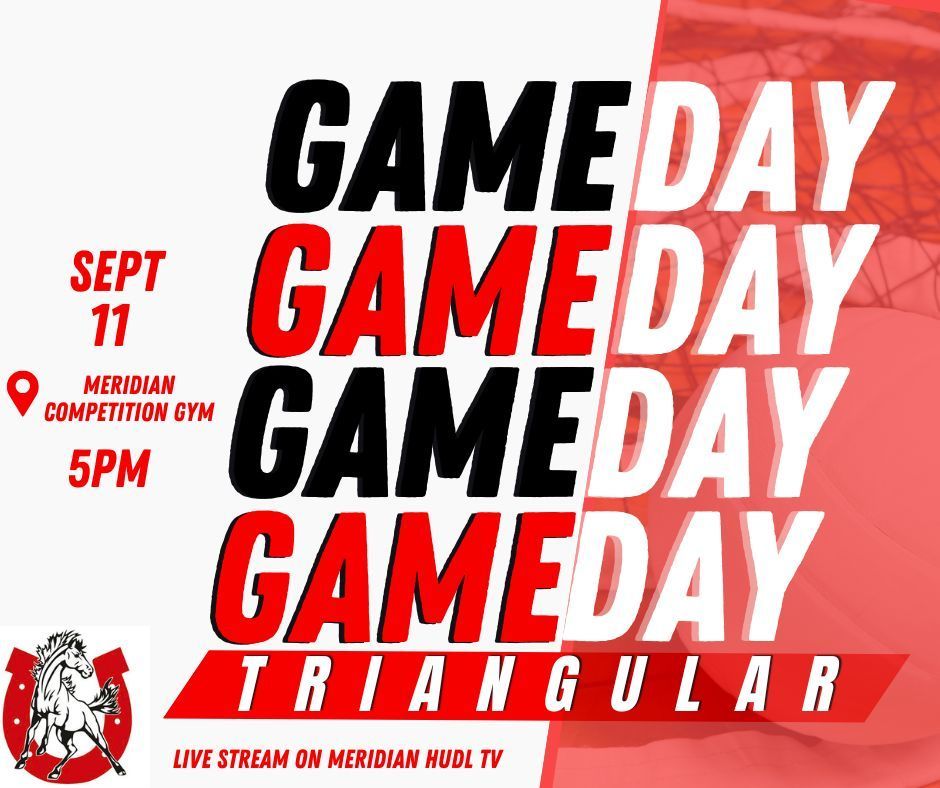 Volleyball Game Day