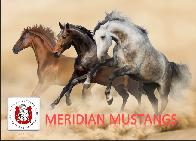 Be a Mustang!