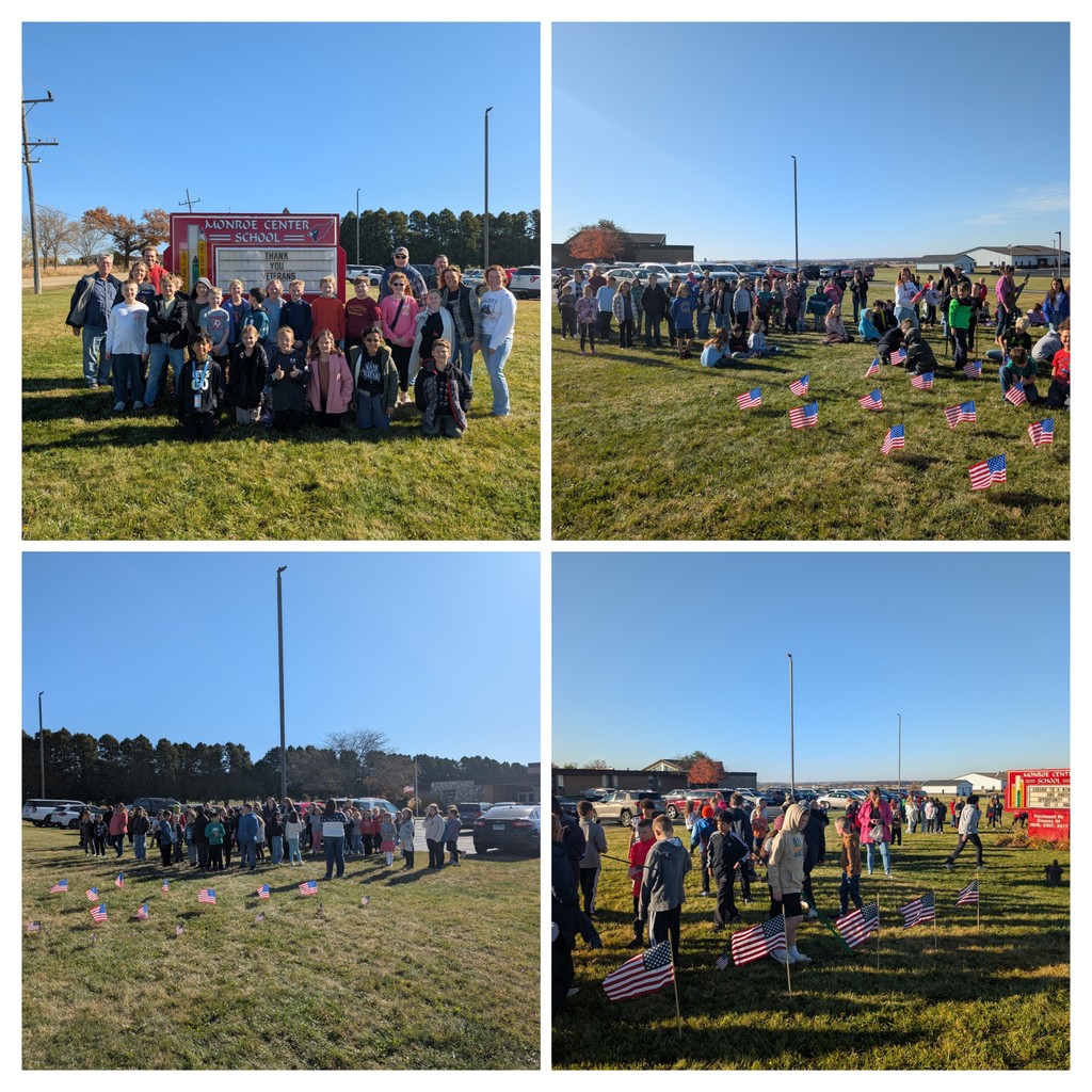 field of flags