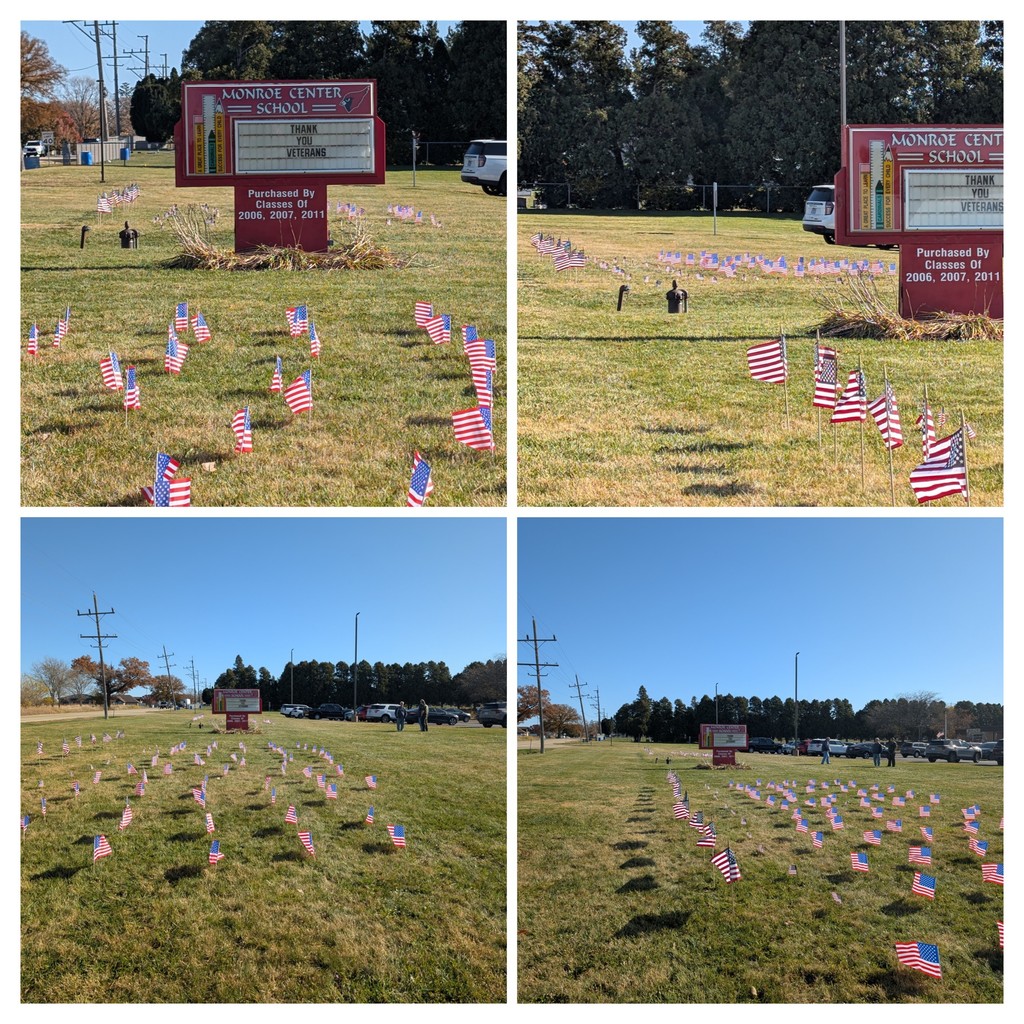 field of flags