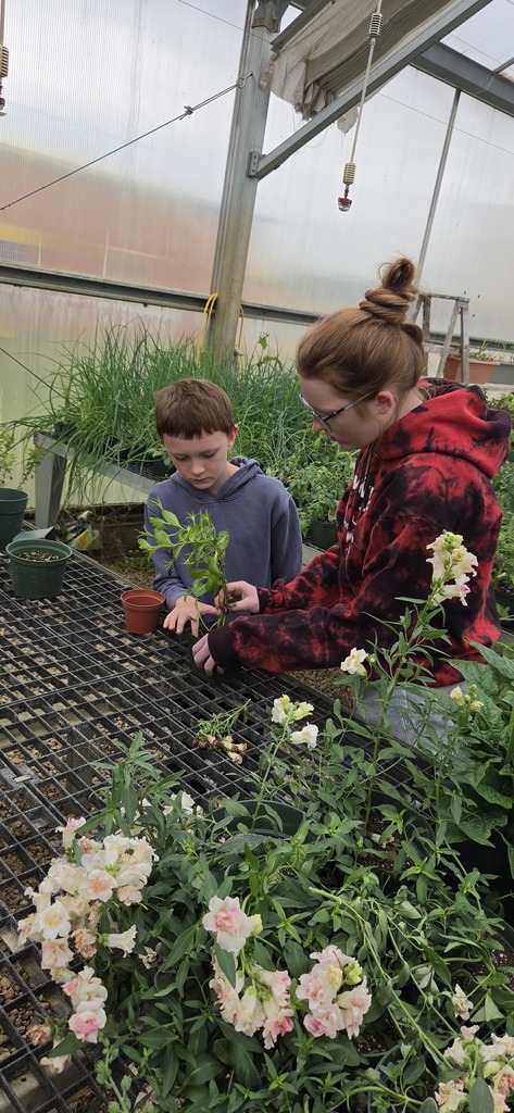 planting