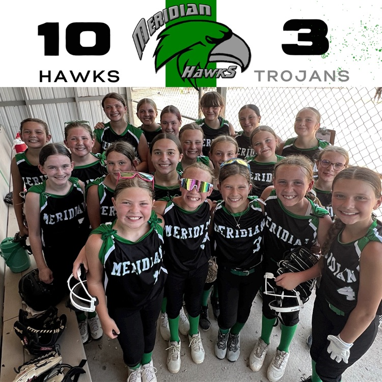 hawks