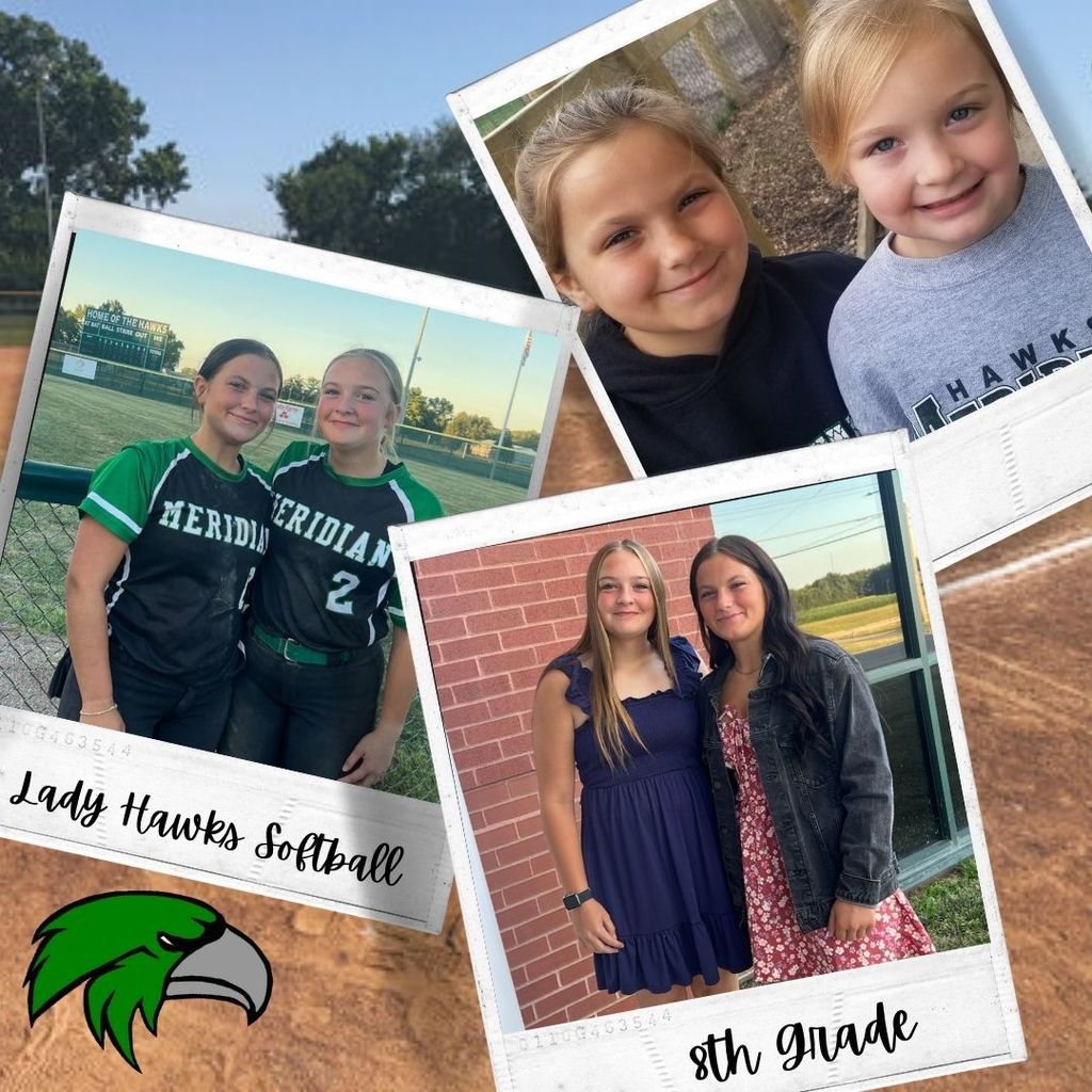 Lady Hawks