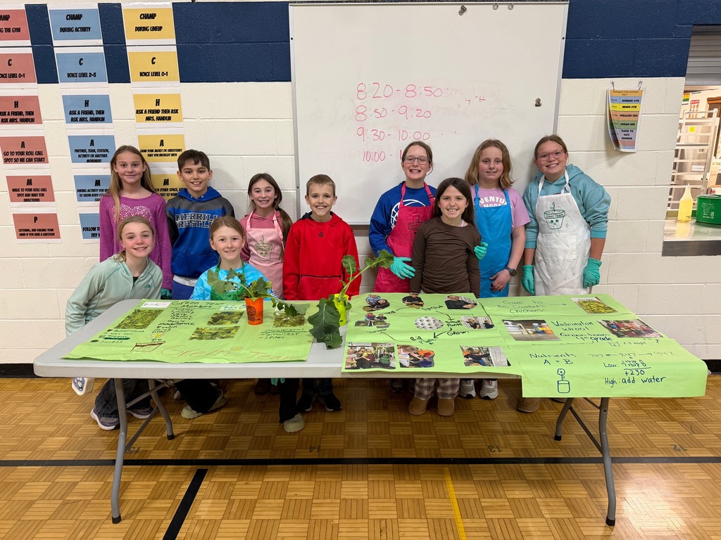 Students gathered in front of a table showing their lettuce growing project