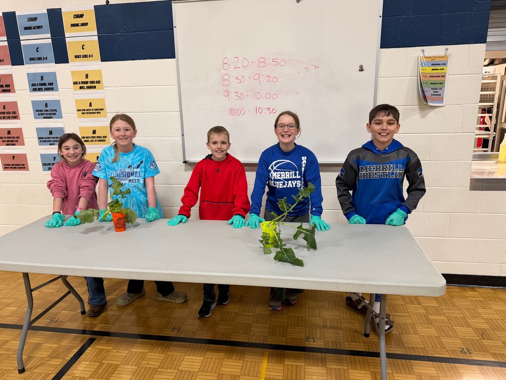 Students standing at a table with gloves on and potted plants of lettuce