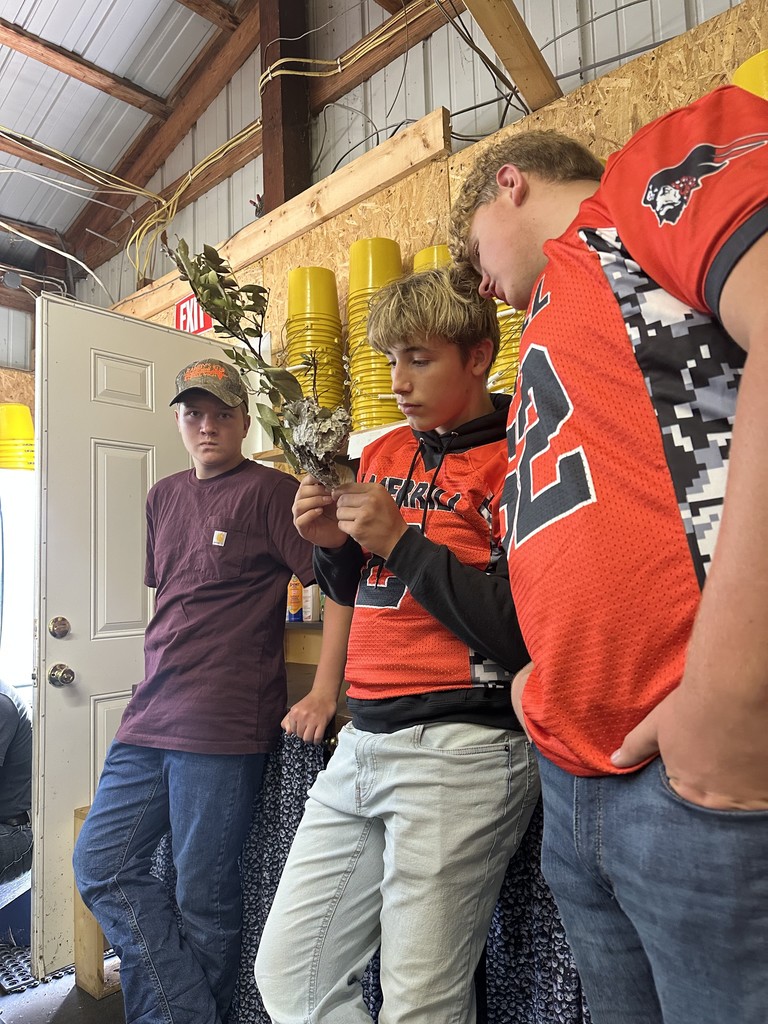 AG Class