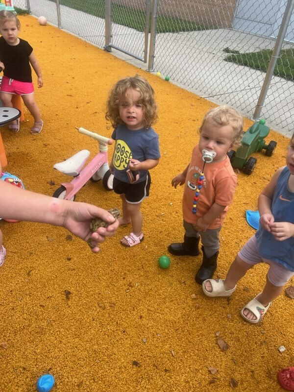 tots looking at toad