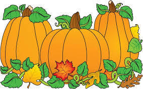 3 pumpkins in a green patch