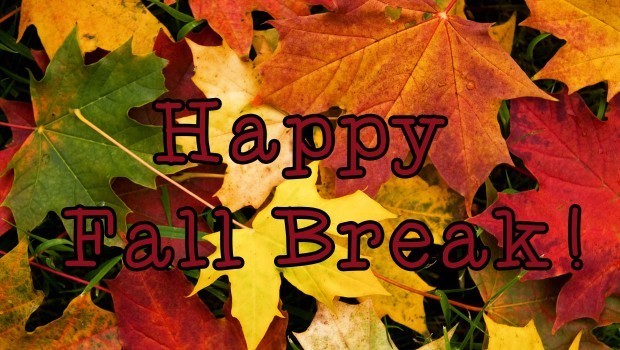 fall leaves