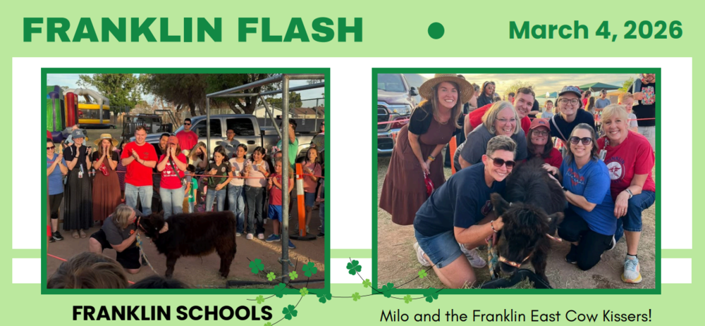 Teachers posing with a Highland cow at the Franklin Festival