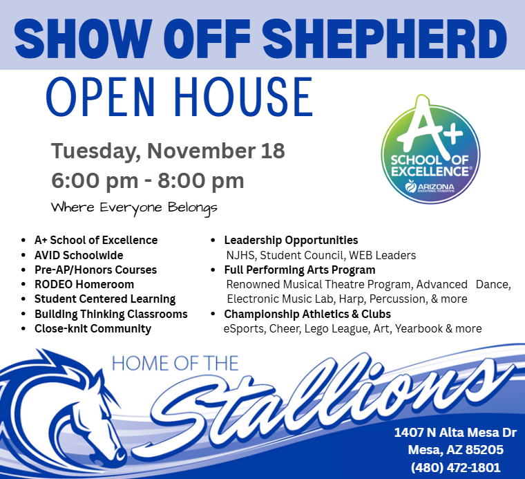 Stallion, A+ School of Excellence