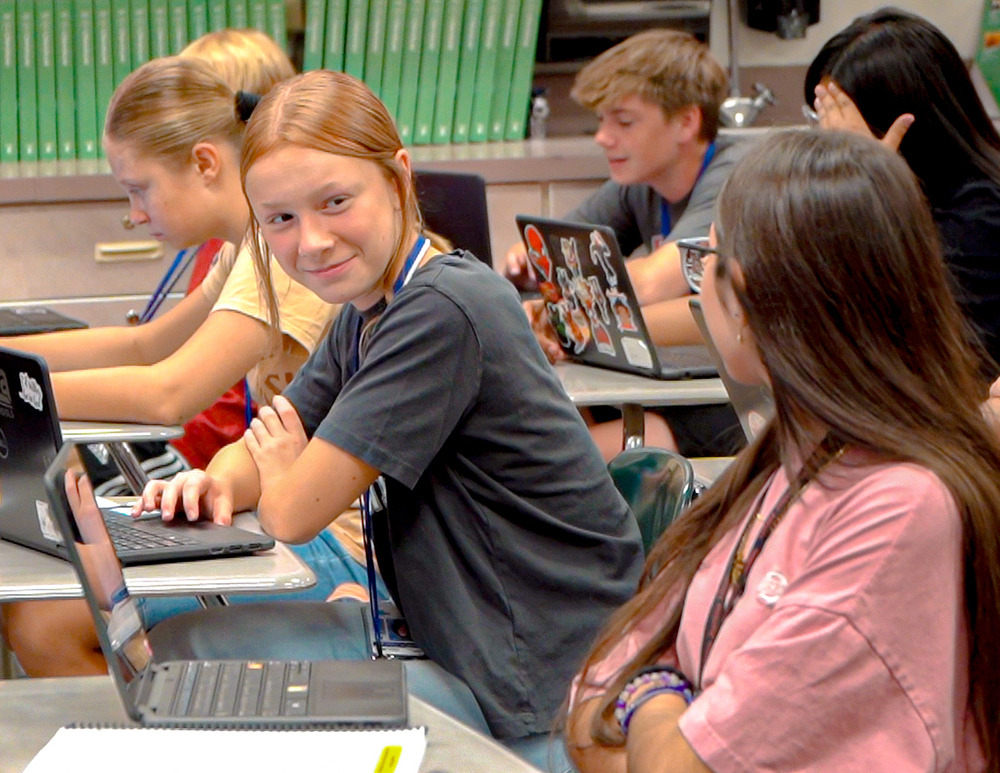 Students working on laptops