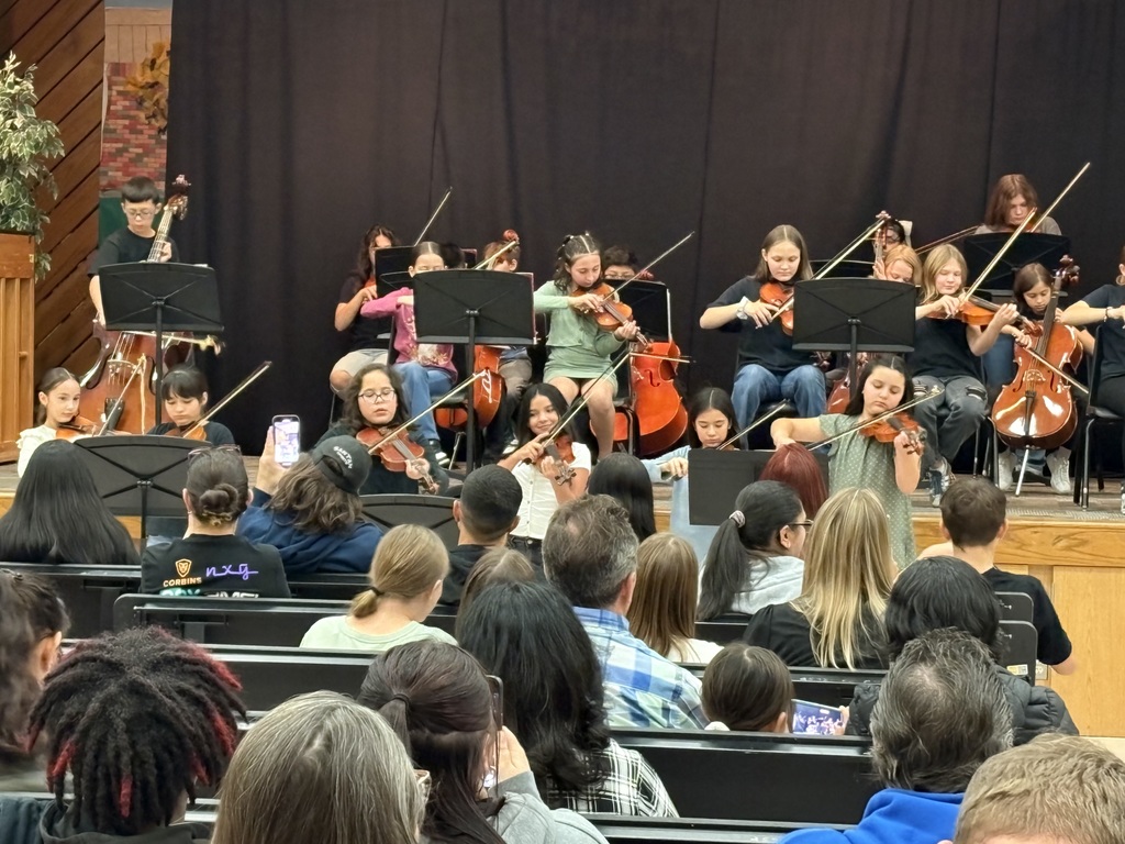 Orchestra Concert