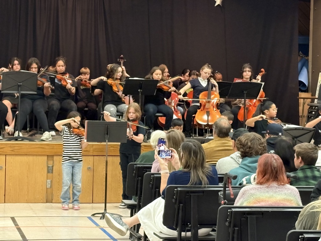 Orchestra Concert