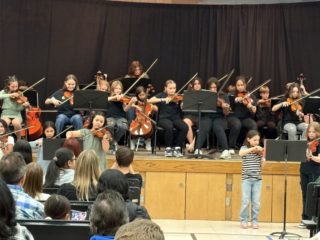 Orchestra Concert
