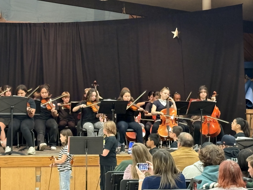 Orchestra Concert