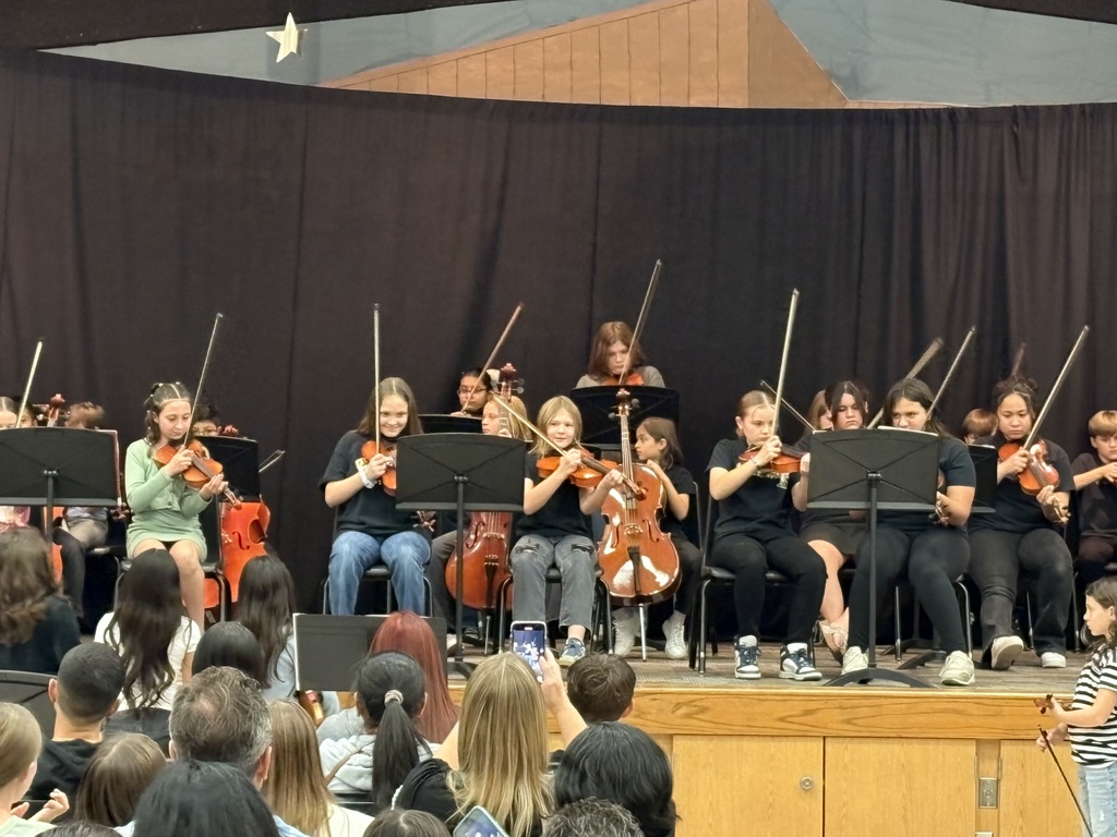 Orchestra Concert