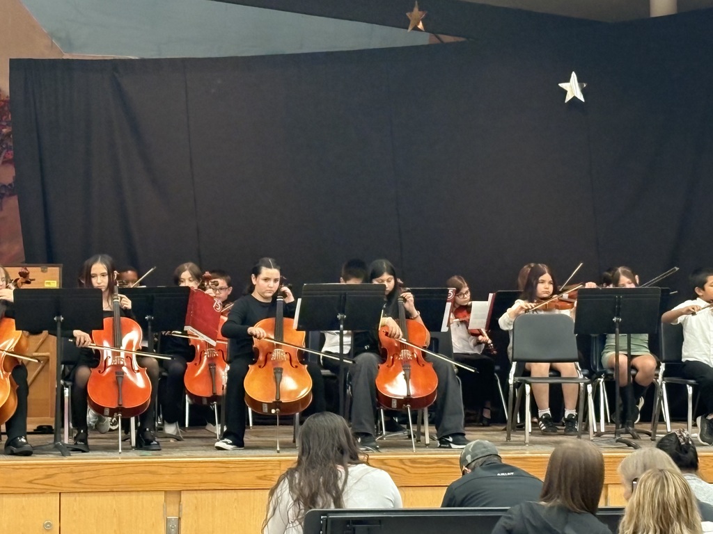 Orchestra Concert