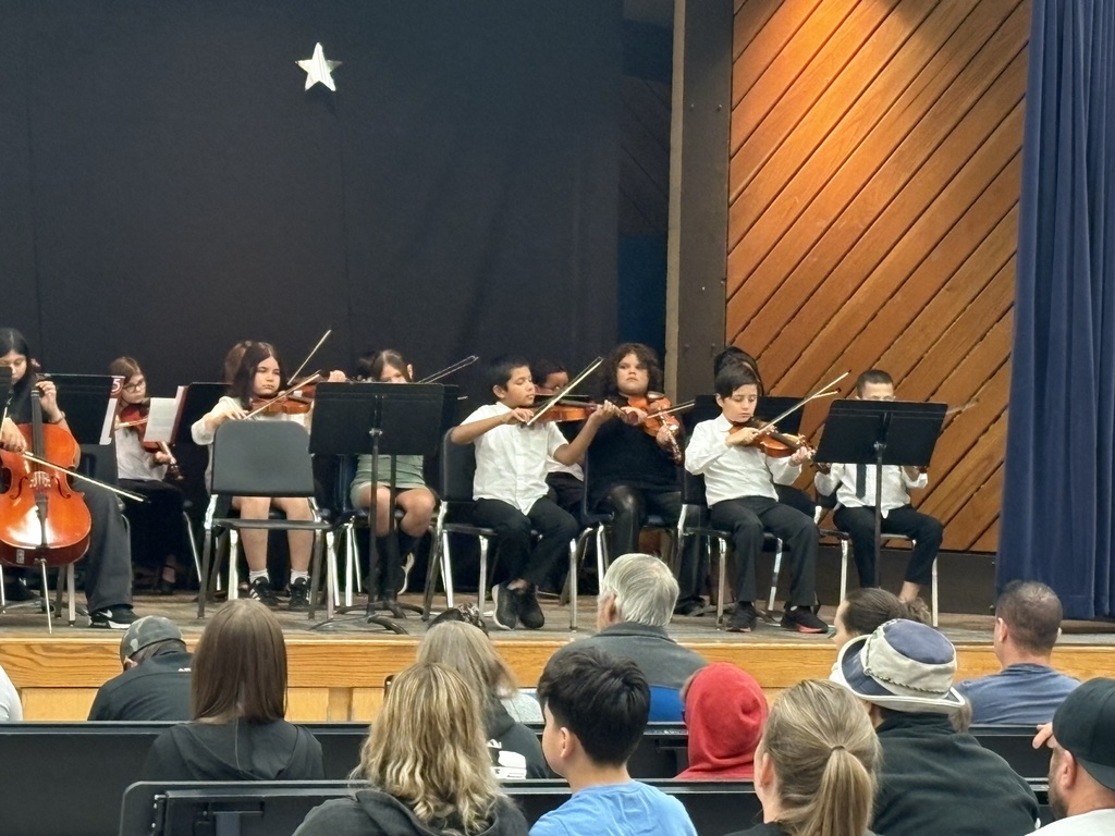 Orchestra Concert