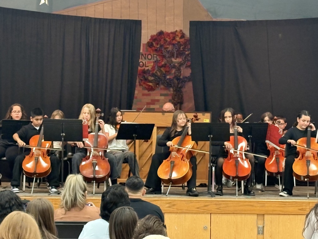 Orchestra Concert