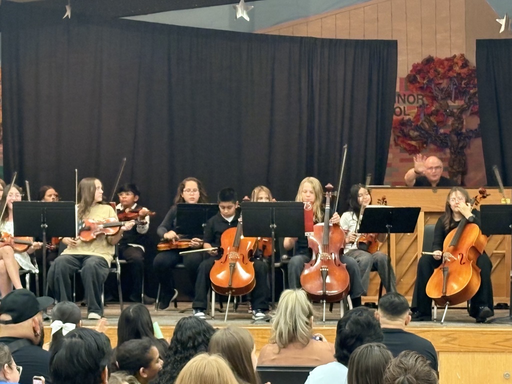 Orchestra Concert
