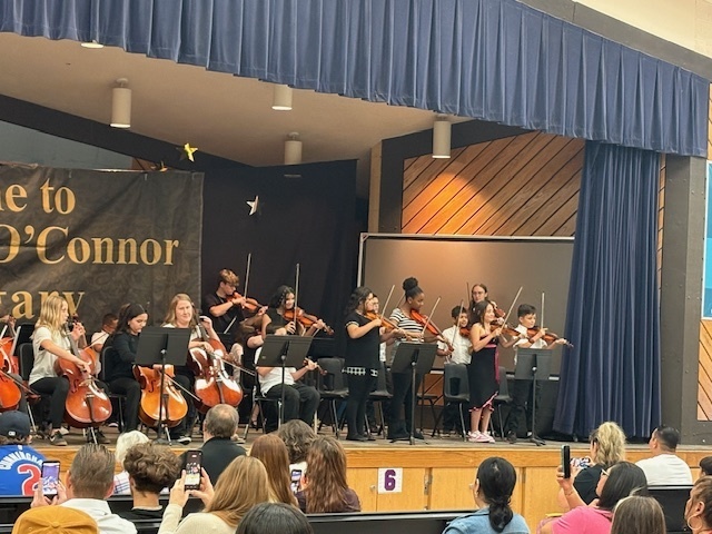 Orchestra