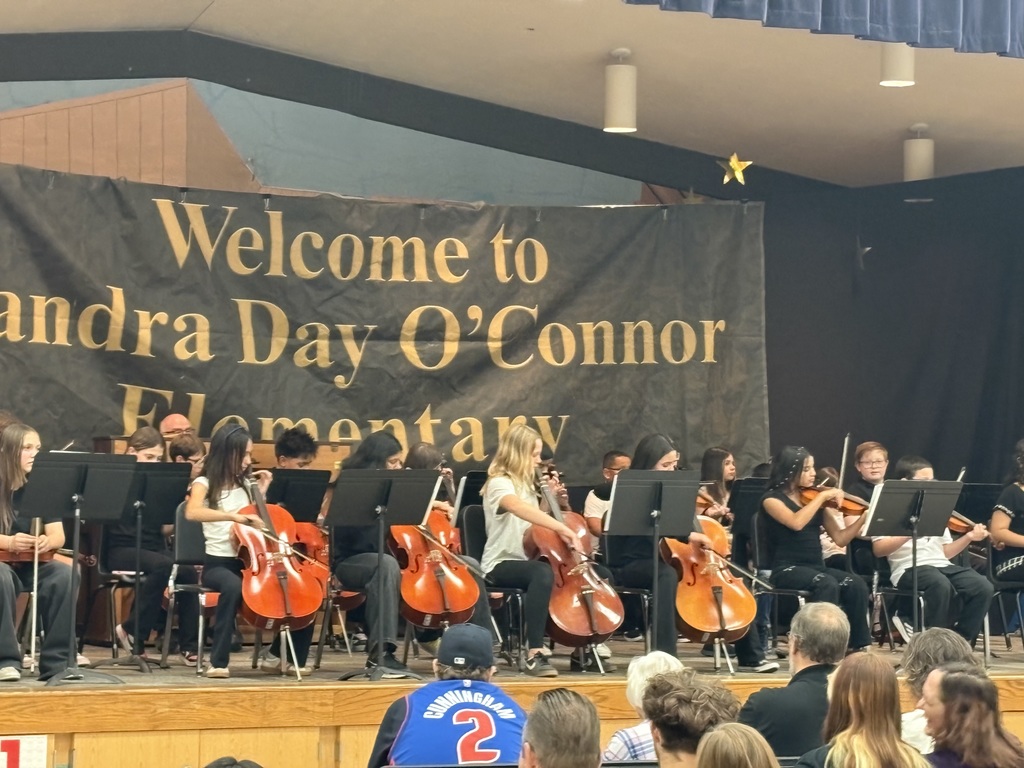 Orchestra