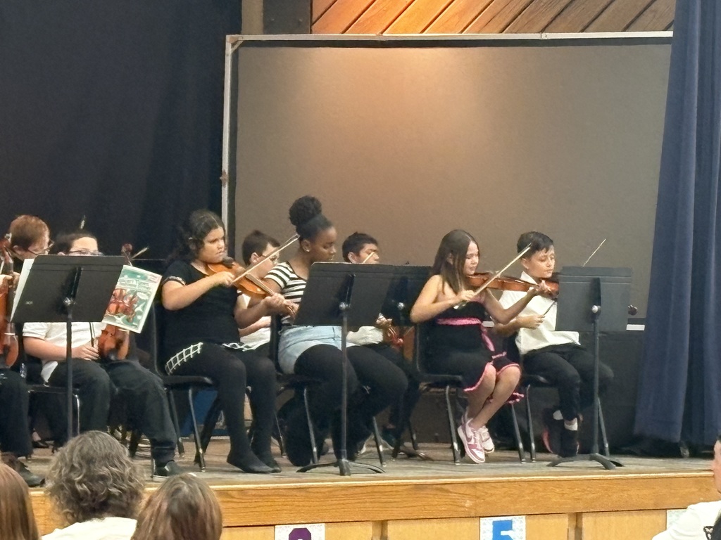Orchestra