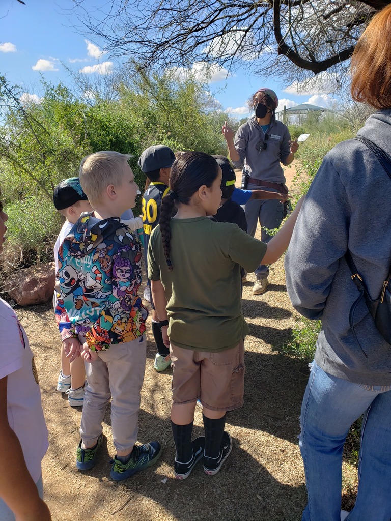 students looking at plants on a nature trail