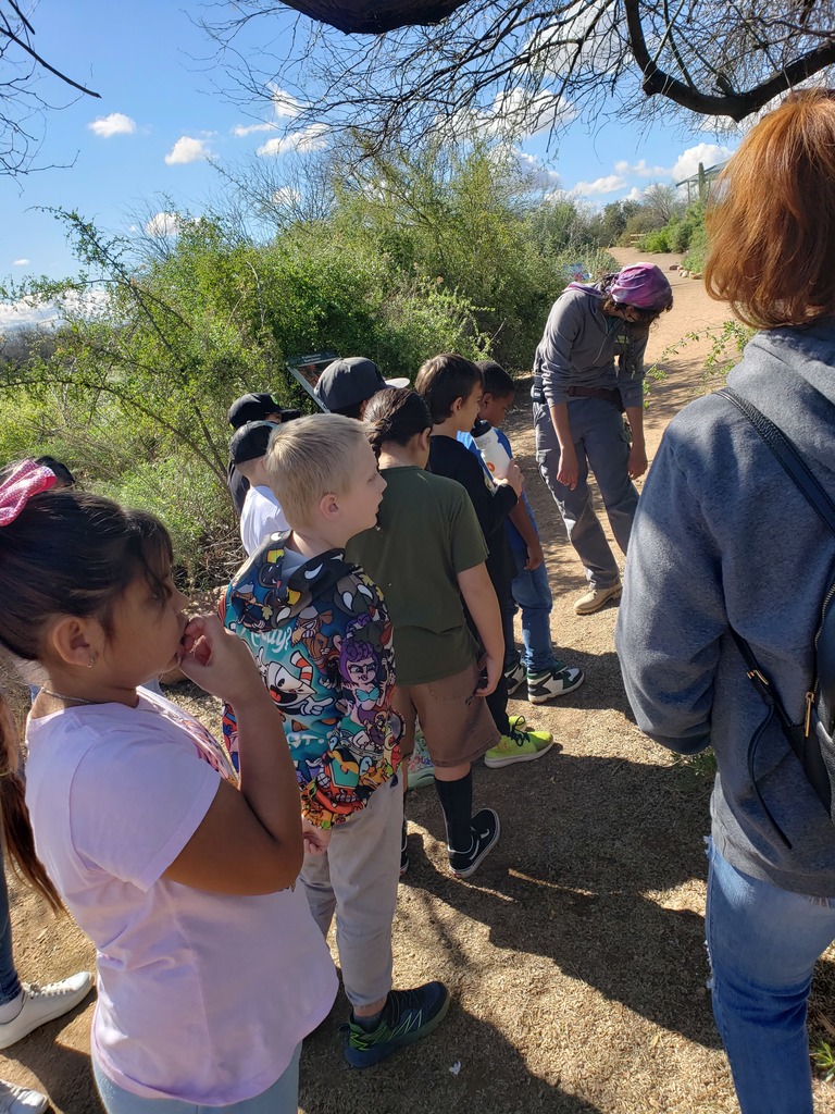 children on a walk on a nature trail