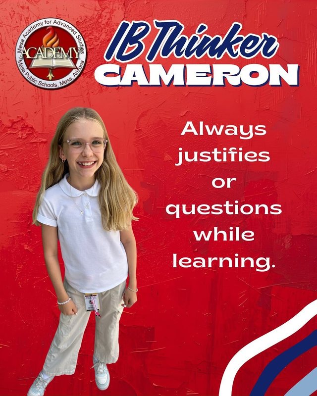 Cameron IB Thinker Always justifies or questions while learning.