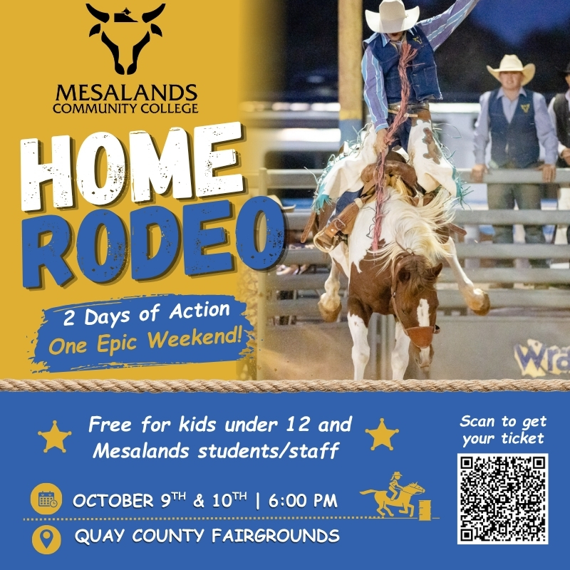 Home Rodeo flyer