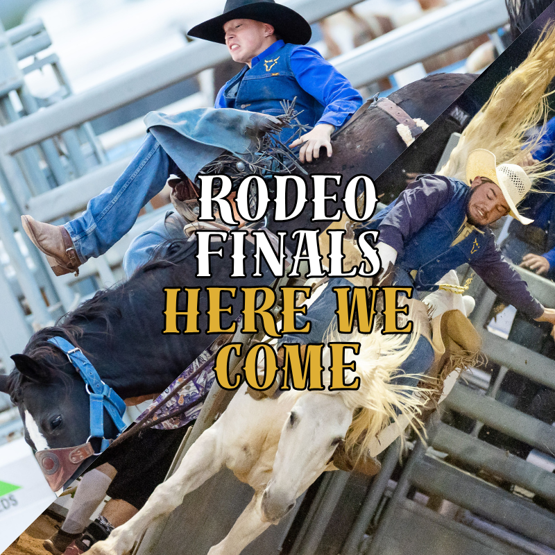 Image of Rodeo Athletes