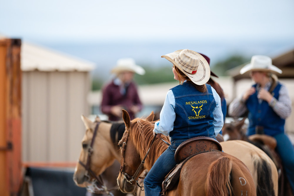 Mesalands rodeo riders on their horses