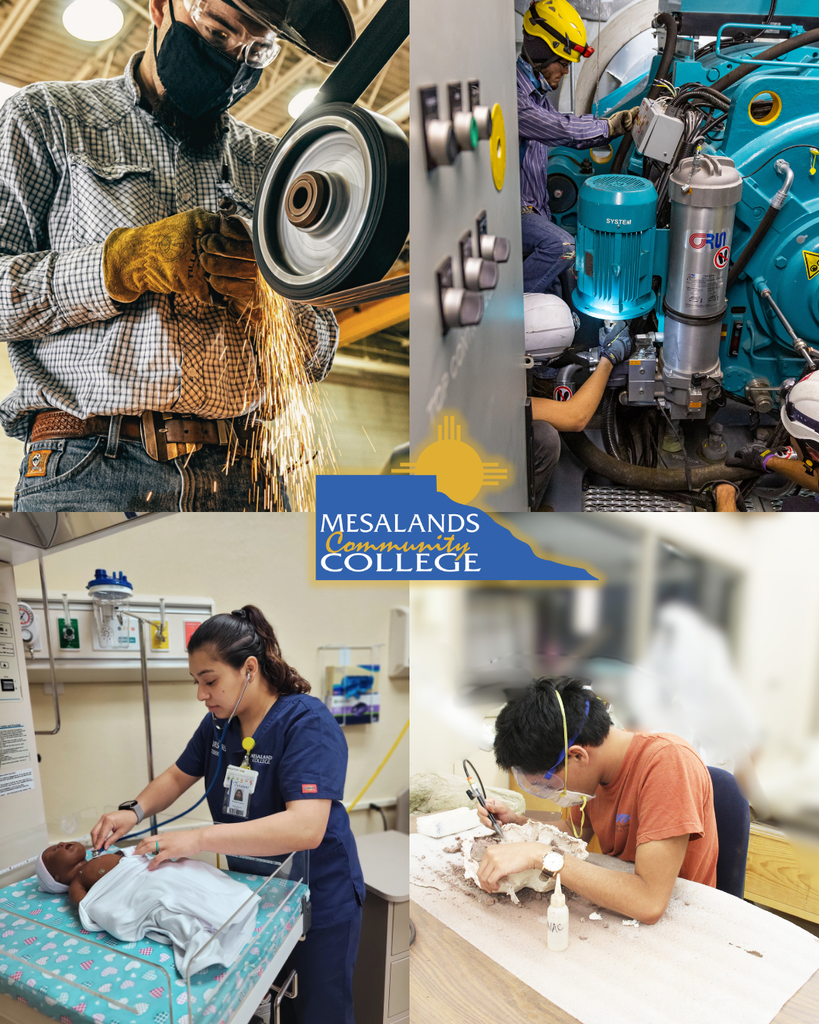 Photo collage showcasing hands on activities at Meslands