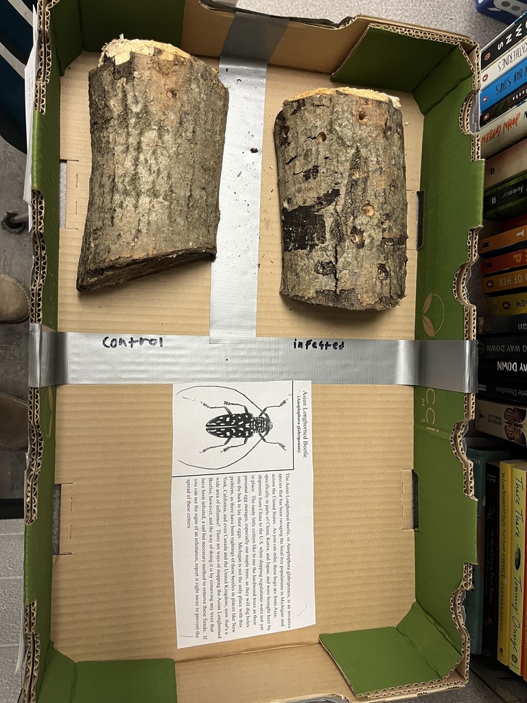  Environmental Studies 