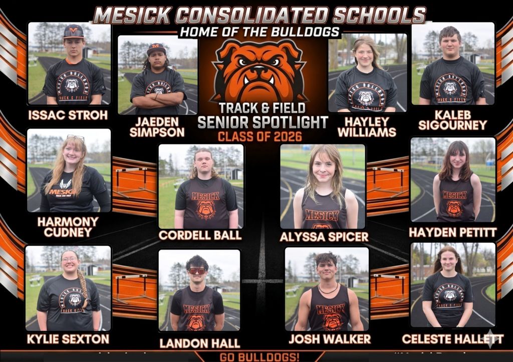 Senior Spotlights