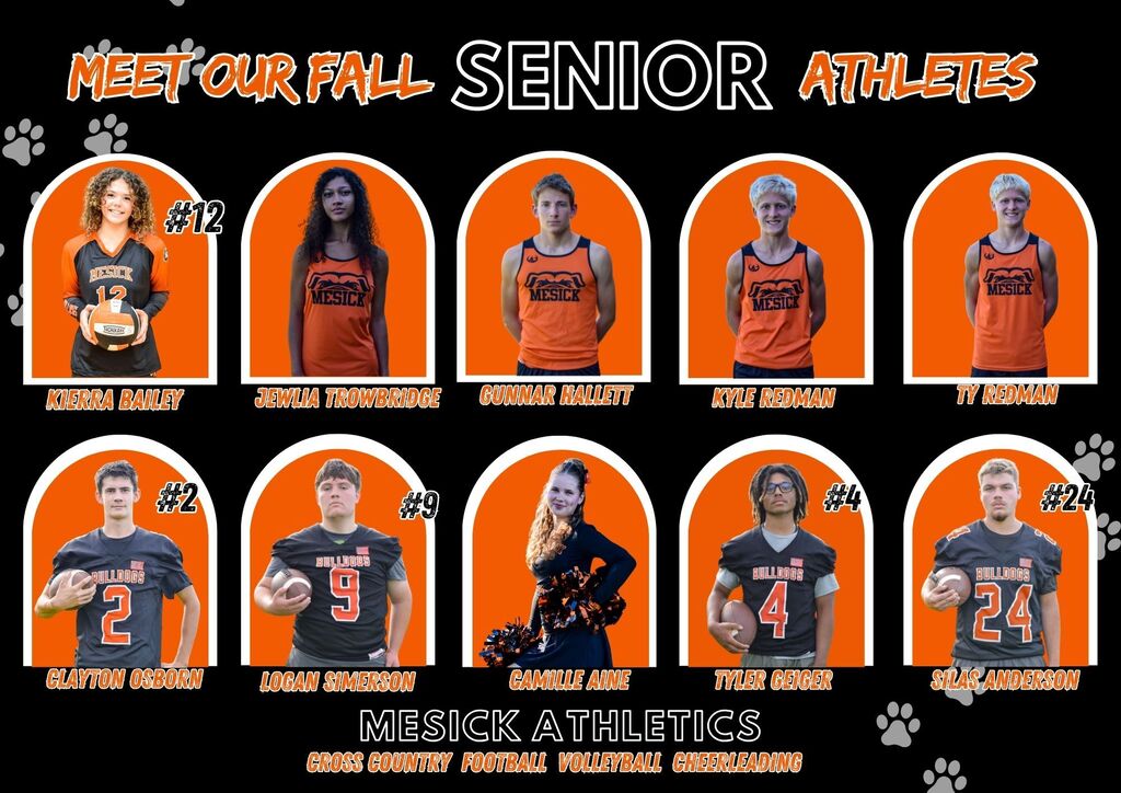 SENIORS