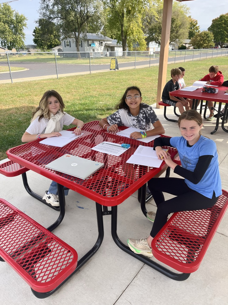 reading reflections